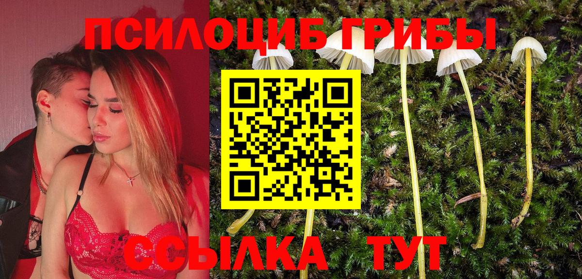 как найти   Галлюциногенные грибы Psilocybine cubensis  Вход с VPN  Киржач 