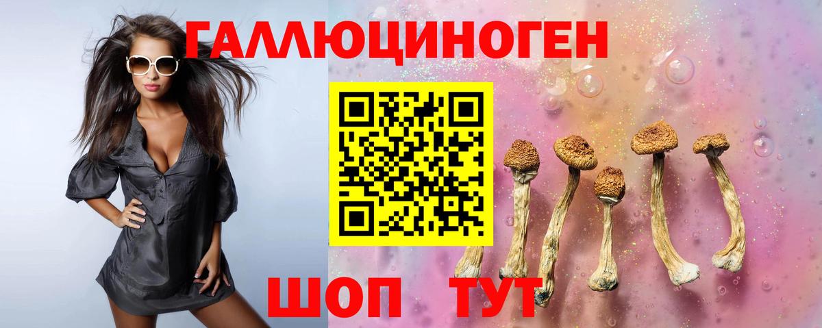 Псилоцибиновые грибы прущие грибы Киржач